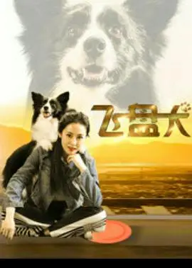 《飞盘犬》：汪星人也能玩出花样？这只狗子简直是飞盘界的泥石流！