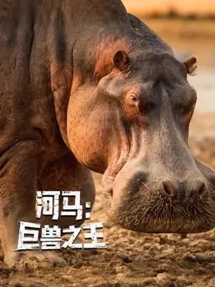 《河马：巨兽之王》：别被“国产仙侠”和“德州电锯杀人狂”给骗了，这河马是个狠角色！